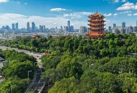 av基地网站麻豆-令人愉悦的AV作品——在AV基地的麻豆展示