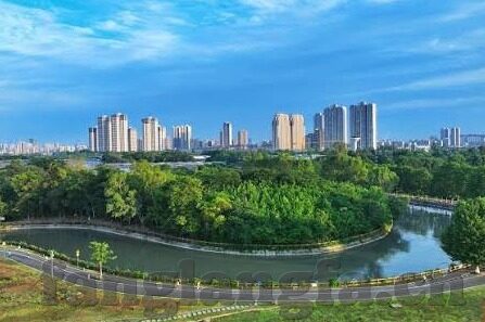 大象传媒18勿进大象909-象牙之舞，大象传媒的多元视角与文化探索
