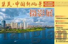 大象传媒回家不迷路-大象传媒，在数字迷雾中导航，让信息回家不迷路