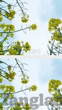 麻豆视频链接-麻豆视频的潮流与边界探索
