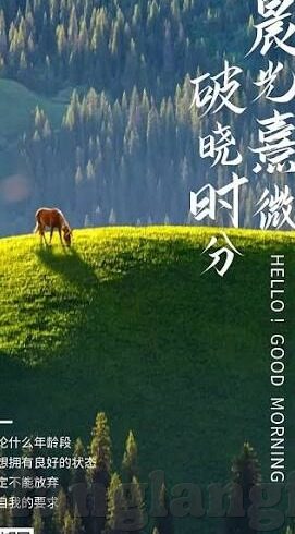 糖心app色下载安装-理解社会道德与个人责任，理性对待网络内容